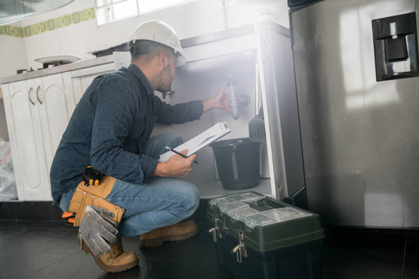 Best Affordable Plumbing Services  in Pleasureville, KY