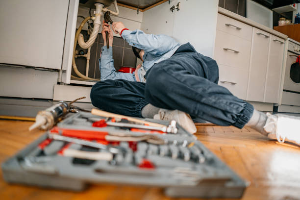 Best Water Softener Installation  in Pleasureville, KY