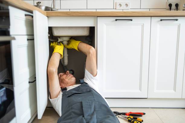  Pleasureville, KY Plumbing Pros