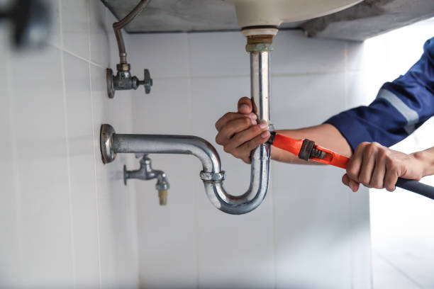 Best Local Plumber Services  in Pleasureville, KY
