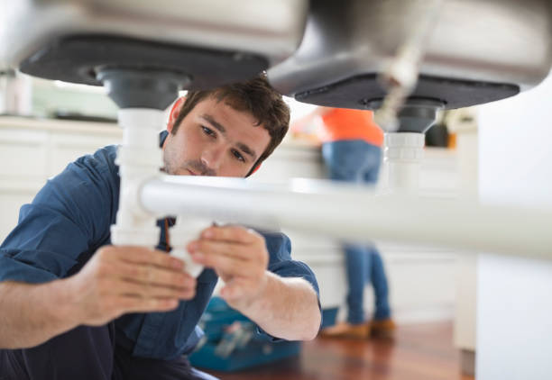 Best Affordable Plumbing Services  in Pleasureville, KY