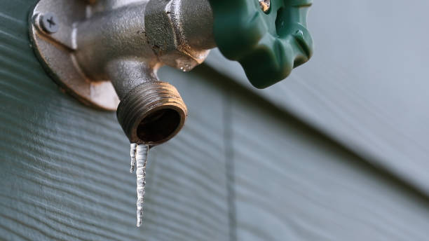 Best Plumbing Repair Near Me  in Pleasureville, KY